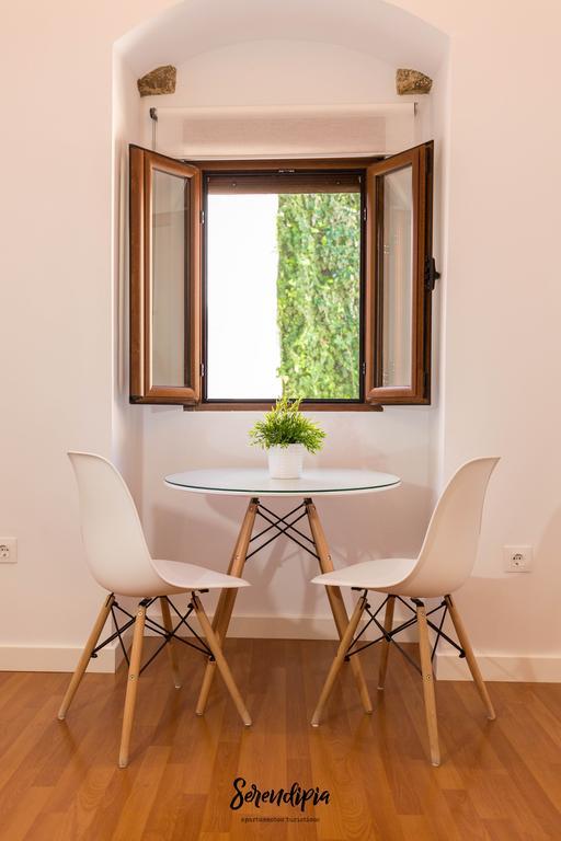 Serendipia Apartamento *